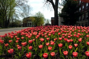 best liberal arts colleges in the south